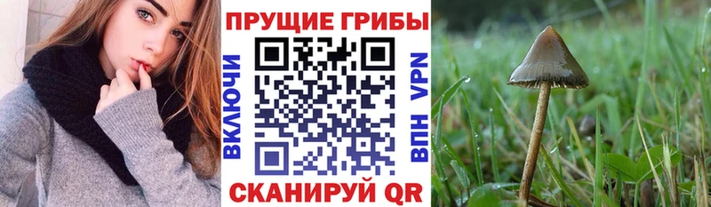 Галлюциногенные грибы мухоморы  Мирный 