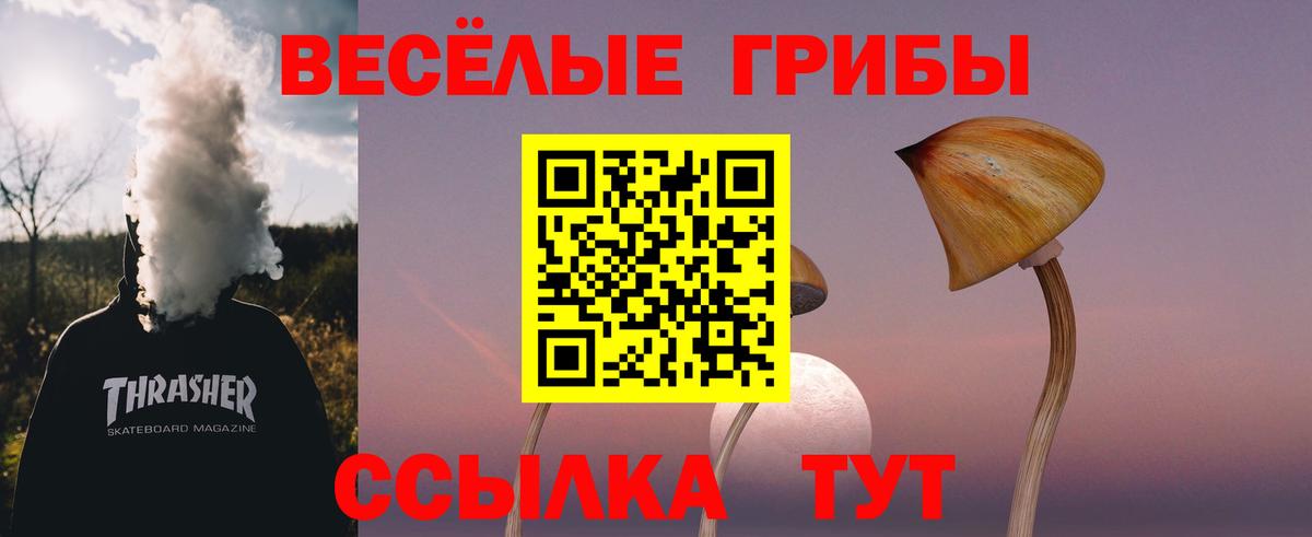 Мирный  Галлюциногенные грибы мухоморы  Вход с VPN 